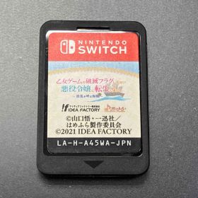 ニンテンドースイッチ 乙女ゲｰムの破滅フラグしかない悪役令嬢に転生してしまった…~波乱を呼ぶ海賊~ 【箱、取説無し】