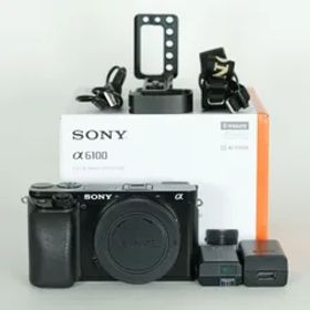 [良品 | シャッター数27,960回｜L型ブラケット付] SONY α6100（ILCE-6100） [ボディ ブラック] | SONY Eマウント