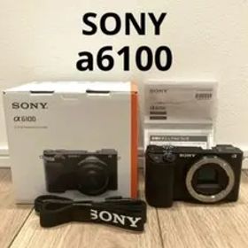 sony a6100 ミラーレス一眼カメラ