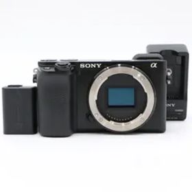 【ほぼ新品】 SONY ソニー ILCE-6100 Black ショット数4,105 枚!