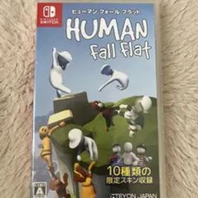 ヒューマンフォールフラット switch