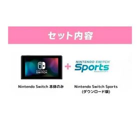 Nintendo Switch ニンテンドー スイッチ Nintendo Switch Sports セット 本体のみ