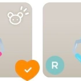 リヴリーキャッチャー・ピンク + リヴリーキャッチャー・水色 | リヴリーアイランドのアイテム、RMTの販売・買取一覧