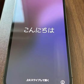 Apple iPhone 13 Pro グラファイト 256GB