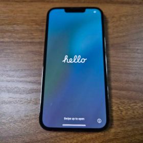 Apple iPhone 13 Pro グラファイト 256GB SIM フリー