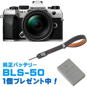 純正スペアバッテリープレゼント！ OM SYSTEM オーエムシステム OM-5 Mark II 12-45mm F4.0 PROレンズキット シルバー＋P-CB-296(ディープグレー) セット 【10,000円分キャッシュバック！25.11.1(土)-26.1.26(月)まで】