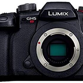 【中古】「非常に良い」パナソニック ミラーレス一眼カメラ ルミックス GH5S ボディ ブラック DC-GH5S-K