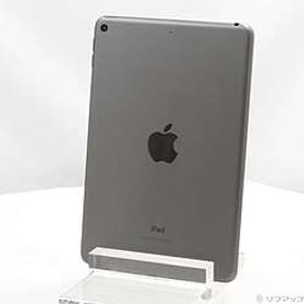 iPad mini 第5世代 256GB スペースグレイ MUU32J／A Wi-Fi