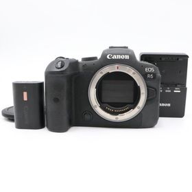 【極上品】CANON EOS R6 キヤノン