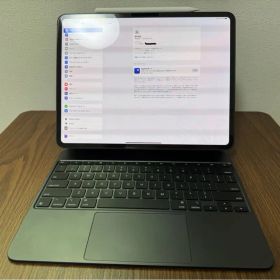 13インチ iPad Pro(M4) Wi-Fi + Cellular 256G
