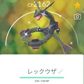 色違い伝説 | ポケモンGOのアカウントデータ、RMTの販売・買取一覧