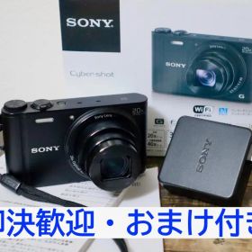 SONY ソニー Cyber-shot DSC-WX350 20倍ズームデジカメ