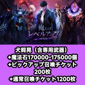 犬飼晃（含専用武器）+魔法石170000-175000個+ピックアップ召喚チケット200枚+通常召喚 | 俺アラ(俺だけレベルアップな件：ARISE)のアカウントデータ、RMTの販売・買取一覧