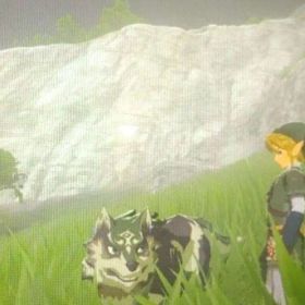 ゼルダの伝説 ウルフリンク amiibo ハート20 アミーボ 中古品