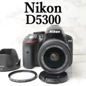 ショット数新品級❣️美品 Nikon D5300⭐️Wi-Fi スマホ転送 一眼レフ