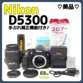 美品‼️手ぶれ補正機能付き✨Nikon D5300✨初心者向け✨スマホ転送OK✨