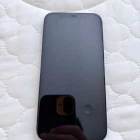 Apple iPhone 12 Pro 本体