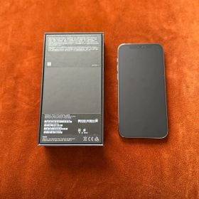 iphone12 pro esim解除 256GB 色グラファイト ①