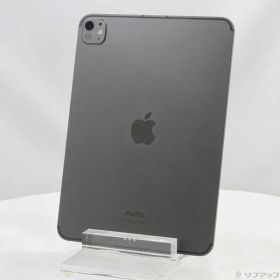 〔中古品〕 iPad Pro 11インチ 第5世代 標準ガラス 256GB スペースブラック MVW13J／A SIMフリー【198】