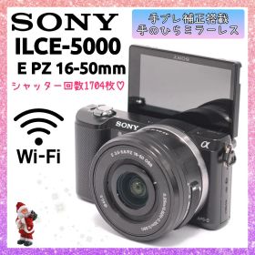 ❤即購入1000円OFF❤ ソニー α5000 Wi-Fi 手のひらミラーレス