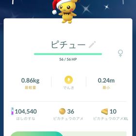 「ミニ垢／非対面トレード」✨色違いサンタピチュー🎅 | ポケモンGOのアカウントデータ、RMTの販売・買取一覧