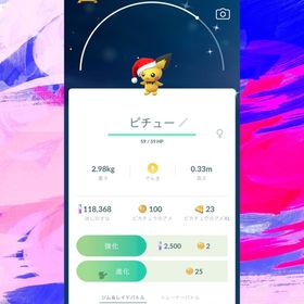 🥇非対面トレード・ミニアカウント渡し🥇(海外・国産)色違いピチュサンタ帽子 | ポケモンGOのアカウントデータ、RMTの販売・買取一覧