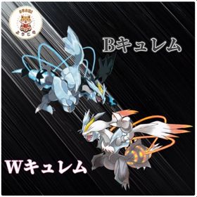 (パズドラ引退します様)レイド代行 | ポケモンGOの代行、RMTの販売・買取一覧