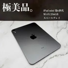 ★極美品 iPad mini 第6世代 Wi-Fi 256GB スペースグレイ