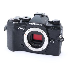 《美品》OLYMPUS OM-D E-M5 Mark III ボディ