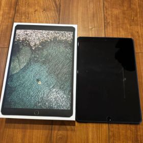 iPad Pro 10.5 Wi-Fi + Cellular 64GB グレー