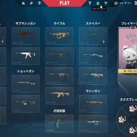 【急ぎ】イモータル アセンダント 引退垢 2023champion | VALORANT(ヴァロラント)のアカウントデータ、RMTの販売・買取一覧