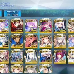 モルガン•リリス•邪ンヌ宝具5 水着スカディなど人権サヴァと黒聖杯所持 聖晶石1500 | FGOのアカウントデータ、RMTの販売・買取一覧