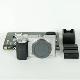 [並品｜シャッター数29,596回] SONY α6000（ILCE-6000） [ボディ シルバー] / ソニーEマウント