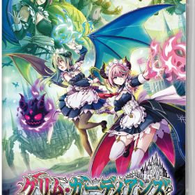【中古】グリム・ガーディアンズ サーヴァント・オブ・ザ・ダークソフト:ニンテンドーSwitchソフト／アクション・ゲーム