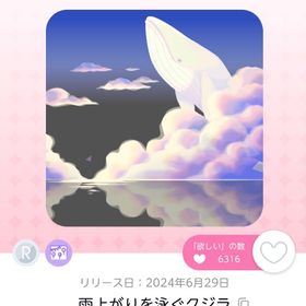 雨上がりを泳ぐクジラ、雨上がりの空想移す水面2点セット | ポケコロツイン(ポケツイ)のアカウントデータ、RMTの販売・買取一覧