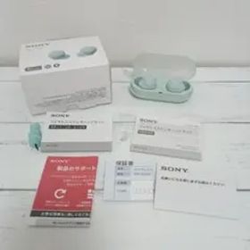 SONY ワイヤレスイヤホン アイスグリーン WF-C500GZ