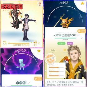 最強引退垢 レジェンドポーズ2種+逆100色違いマスクドピカチュウ所持‼️ | ポケモンGOのアカウントデータ、RMTの販売・買取一覧