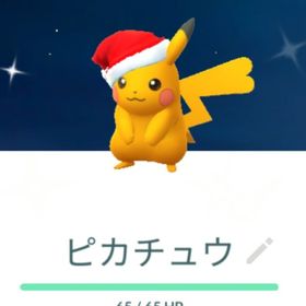 色違いサンタ帽子ピカチュウ トレード 通常色XXL | ポケモンGOのアカウントデータ、RMTの販売・買取一覧