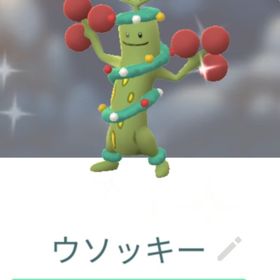 色違いホリデー飾りウソッキー トレード | ポケモンGOのアカウントデータ、RMTの販売・買取一覧