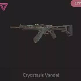 💥 アジア太平洋 💥 1 スキン 💥 クリオスタシス ヴァンダル 💥