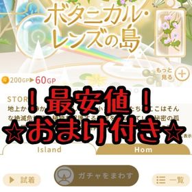 【おまけ付き】ボタニカルレンズの島【最安値】フルセット | リヴリーアイランドのアイテム、RMTの販売・買取一覧