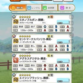 初期アカ／馬蹄石個6040↑☆5種牡馬90株↑特別調教師たくさん | ダビマス(ダービースタリオンマスターズ)のアカウントデータ、RMTの販売・買取一覧