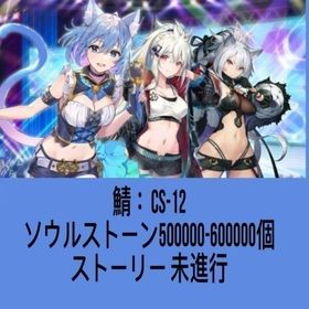 鯖：CS-12 ソウルストーン500000-600000個 ストーリー 未進行 | エバーテイル(Evertale)のアカウントデータ、RMTの販売・買取一覧