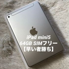 【完動品】iPad mini5 64GB SIMフリー 【すぐ発送】