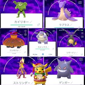 【ひまわり様専用】 | ポケモンGOのアカウントデータ、RMTの販売・買取一覧
