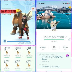 引退垢 マスボ入シドニー背景色イーブイ グラジオポーズ所持 CitySafari参加‼️ | ポケモンGOのアカウントデータ、RMTの販売・買取一覧
