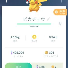 ポケモンGO 交換のみ 限定ピカチュウ 伝説色違い | ポケモンGOのアカウントデータ、RMTの販売・買取一覧