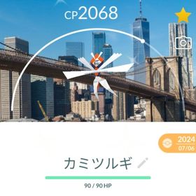 激レア！✨✨色違い背景付き！🎉🎉 | ポケモンGOのアカウントデータ、RMTの販売・買取一覧