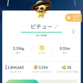 【追加有り】確定キラ 伝説 各種ピチュー バトル フル強化 色違い他 | ポケモンGOのアカウントデータ、RMTの販売・買取一覧