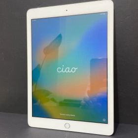 ◼️Apple iPad A1823 Wi-Fi + Cellular 第5世代